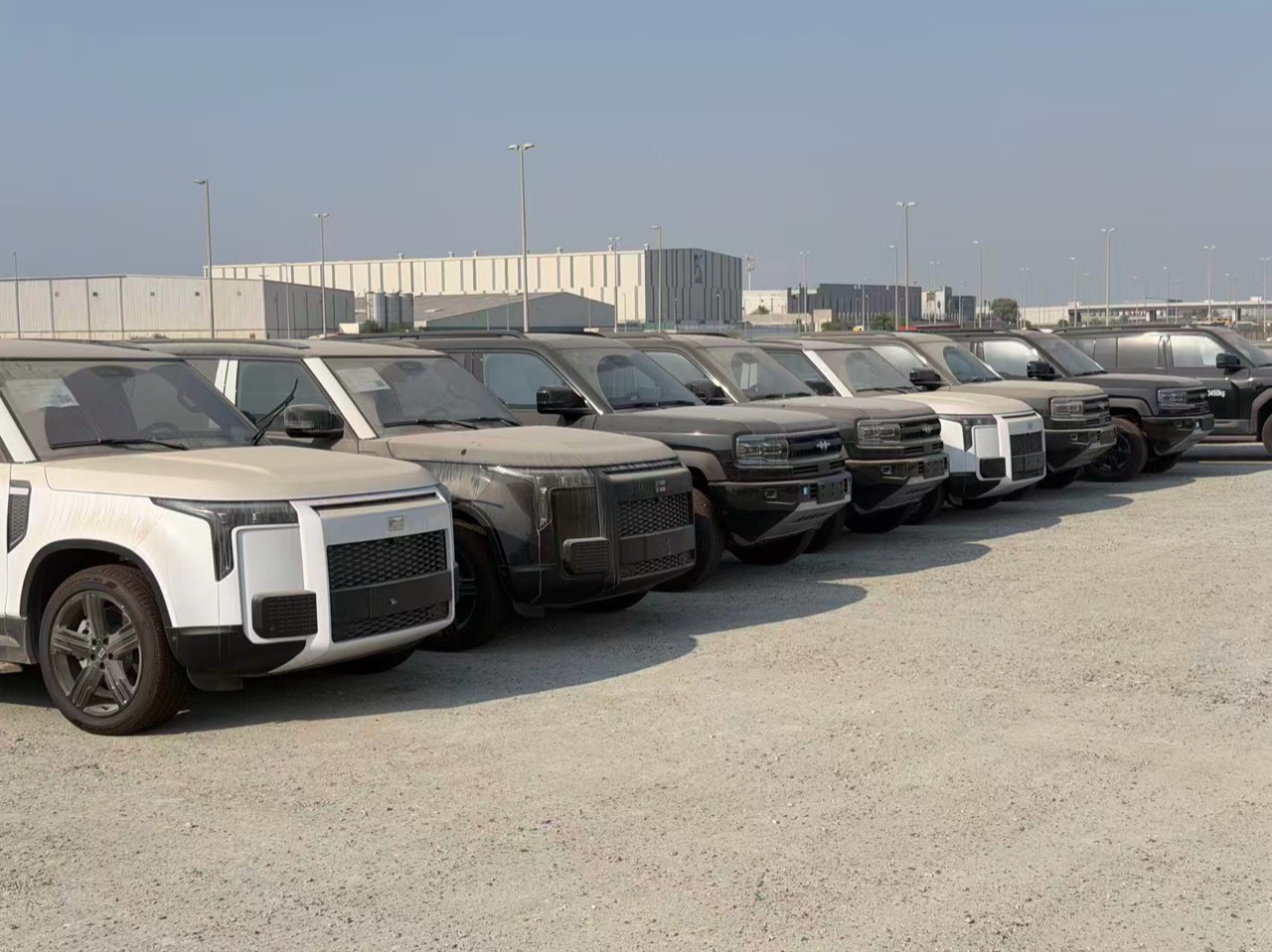 Several BYD LEOPARD 5 SUVs parked in a row in an outdoor vehicle yard