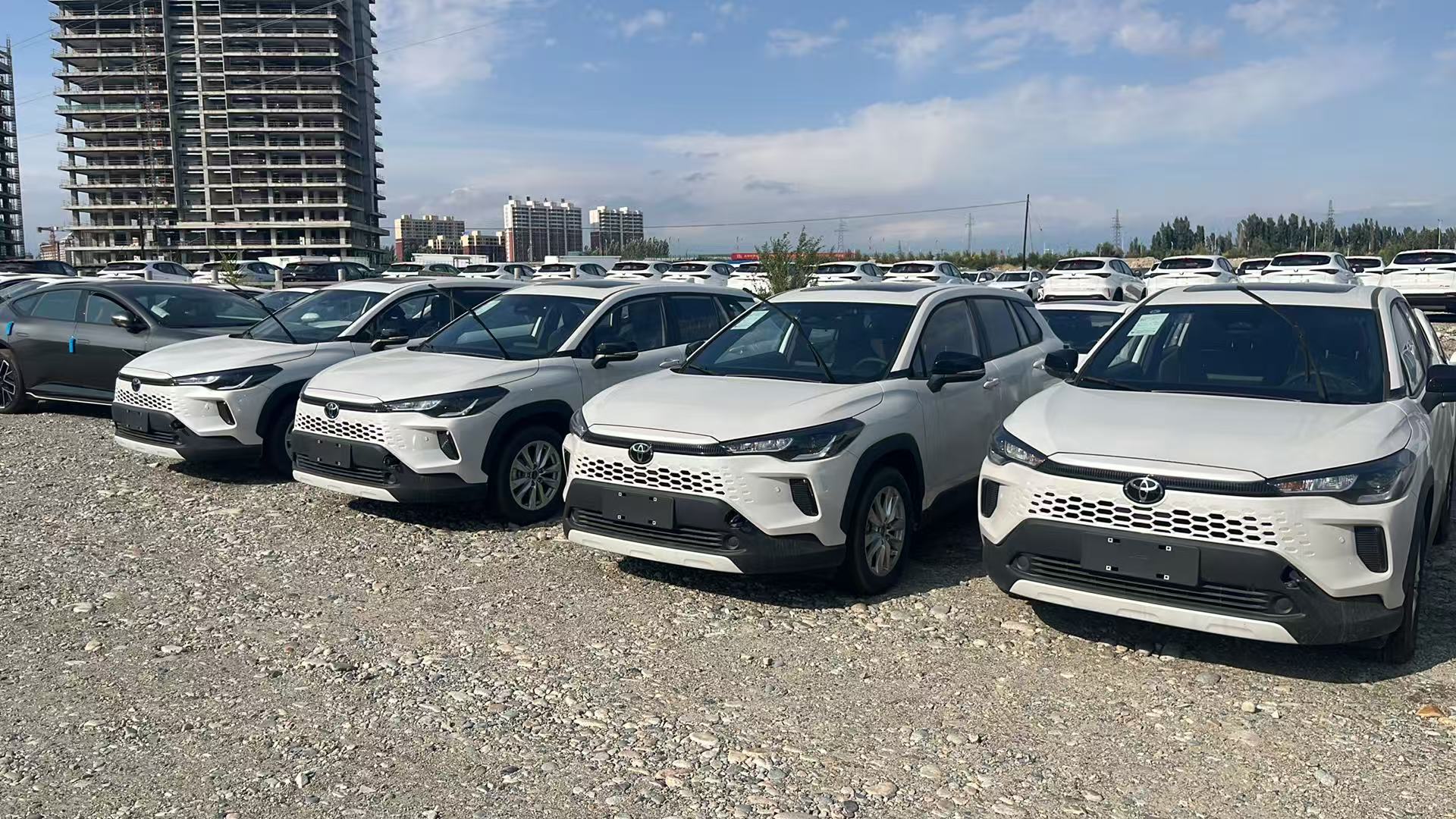 White Toyota Corolla Cross SUVs lined up in an outdoor vehicle yard