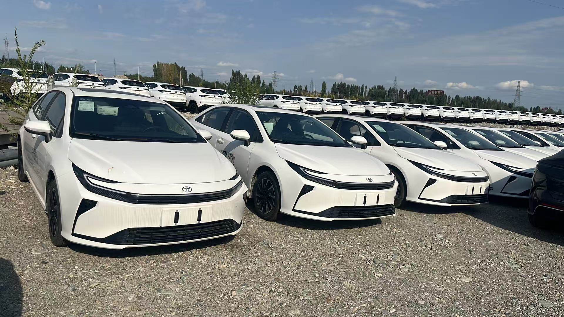 White Toyota Corolla sedans lined up at an outdoor vehicle yard