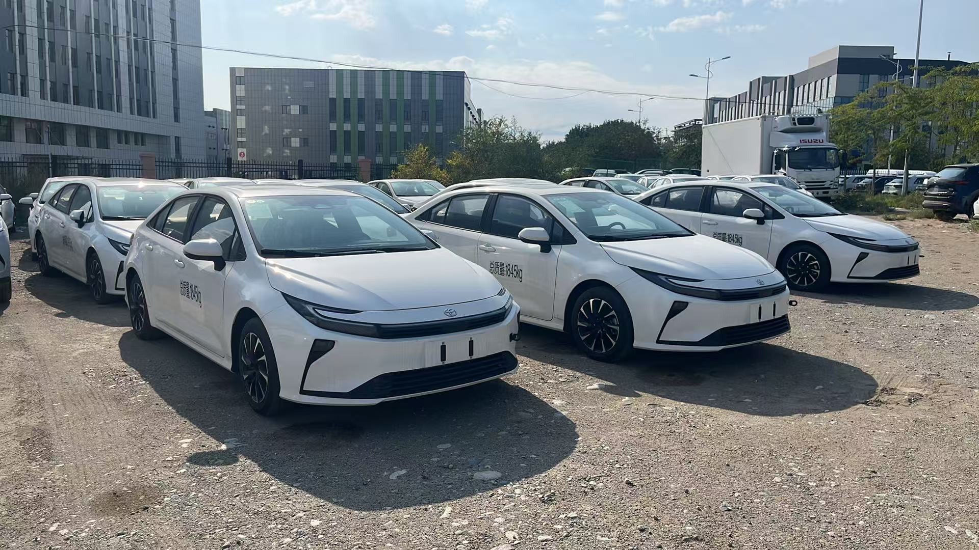 White Toyota Corolla sedans parked in rows in an outdoor vehicle yard